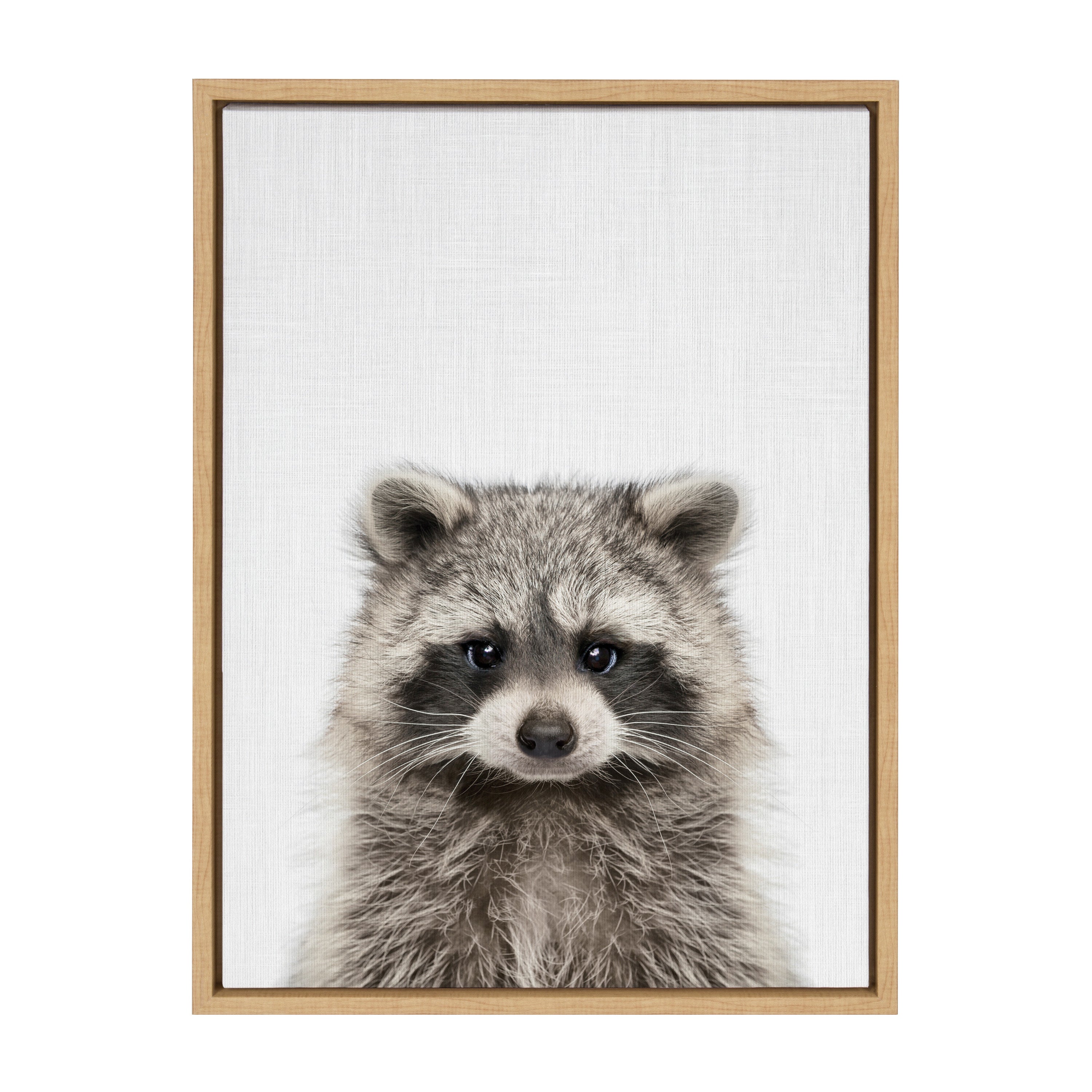 Sylvie Raccoon Color Framed Canvas by kateandlaurel - product image 2 for Resin Society