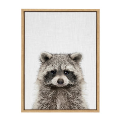 Sylvie Raccoon Color Framed Canvas by kateandlaurel - product image 2 for Resin Society