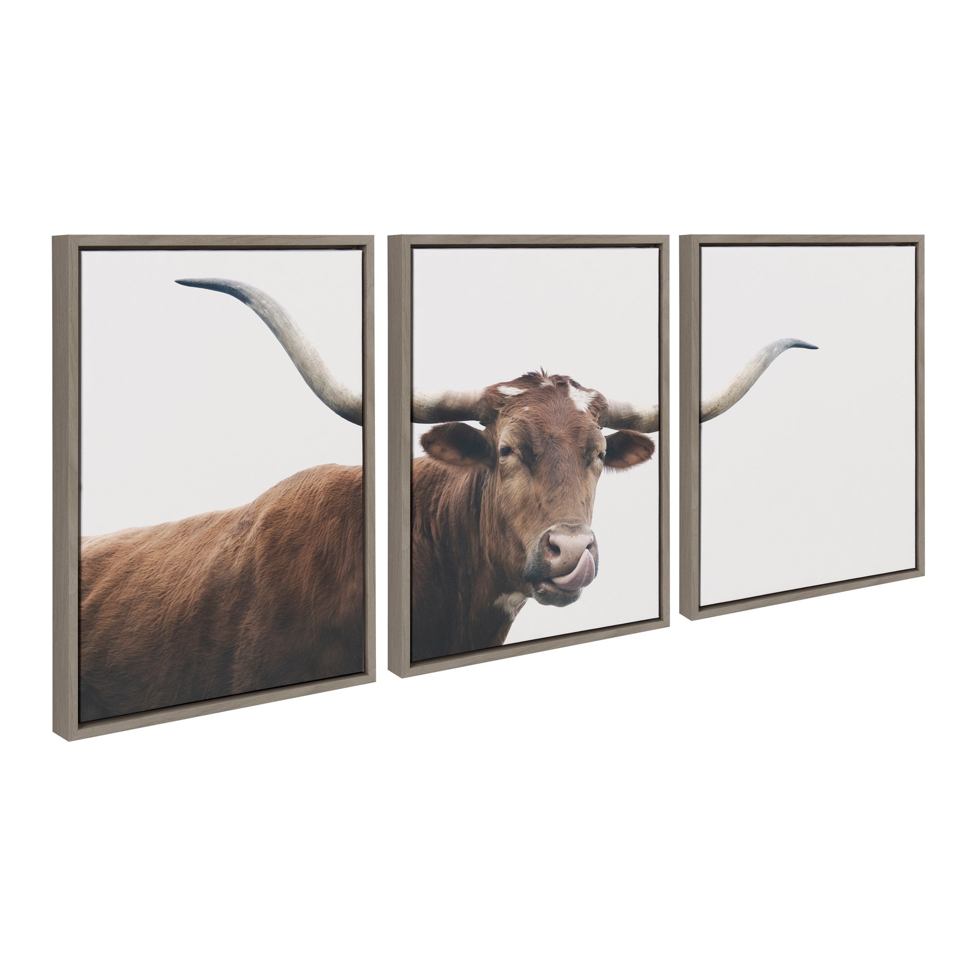 Sylvie Texas Longhorn Cow Lick 1 2 3 Framed Canvas by kateandlaurel - product image 7 for Resin Society