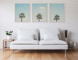 Sylvie Trio of Palm Trees 1, 2 and 3 Framed Canvas by kateandlaurel - product image 6 for Resin Society