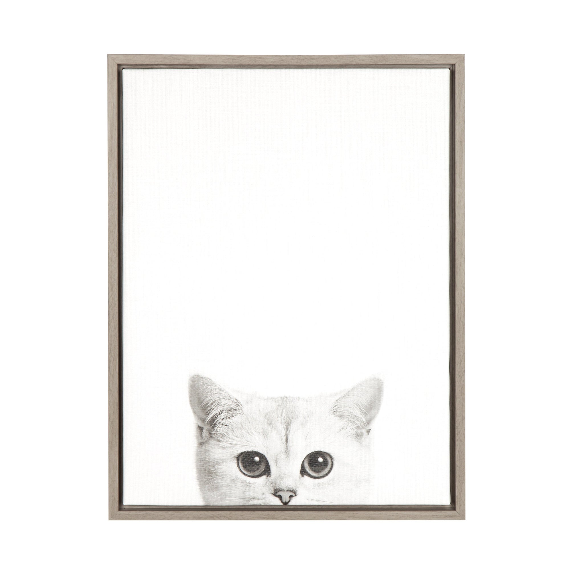 Sylvie Kitty Framed Canvas by Simon Te of Tai Prints by kateandlaurel - product image 8 for Resin Society