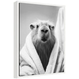 Black and white close-up photo of a capybara wearing a fluffy towel wrapped around its shoulders, facing forward with a neutral expression.