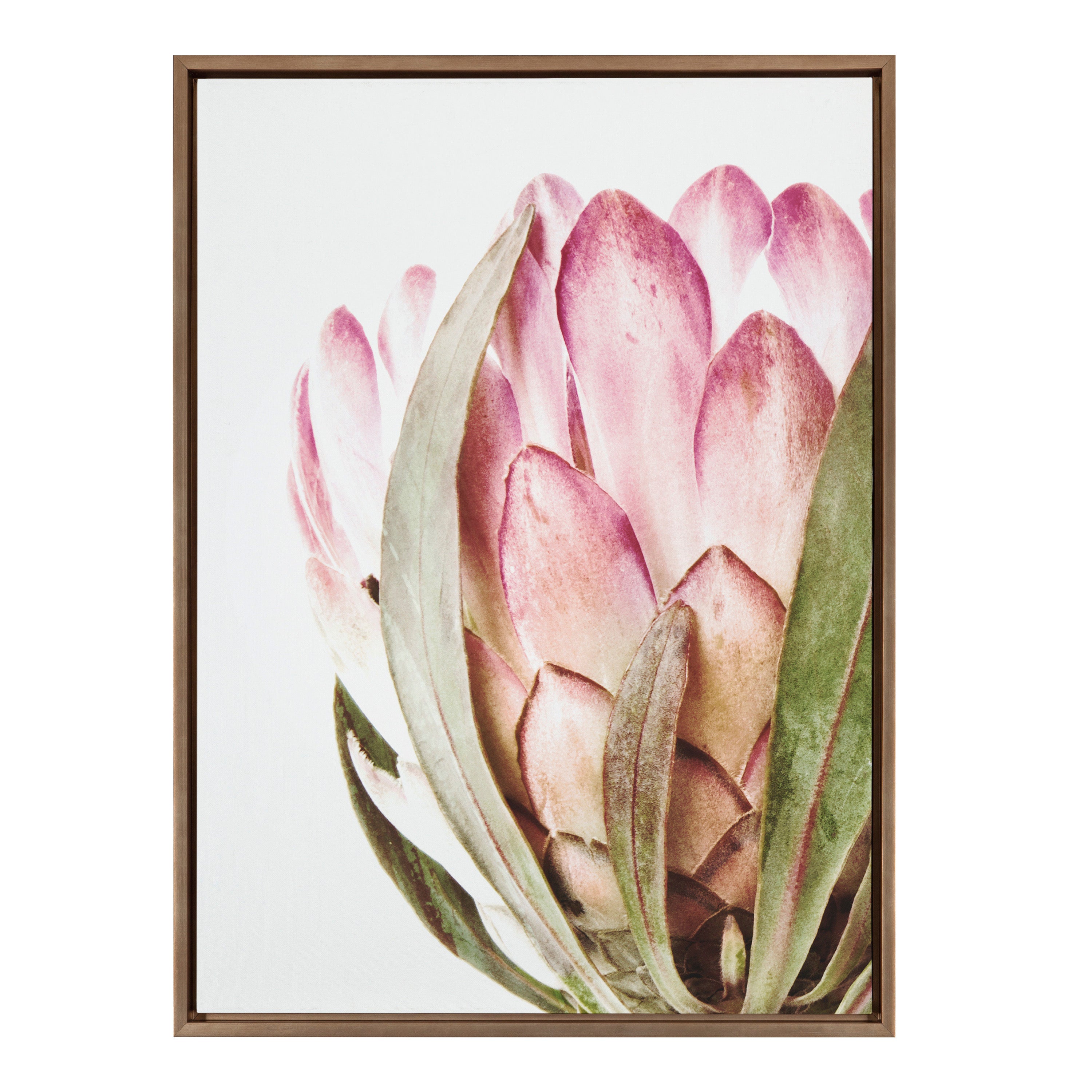Sylvie Pink Protea Flower Framed Canvas by Amy Peterson by kateandlaurel - product image 2 for Resin Society