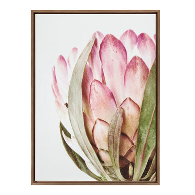 Sylvie Pink Protea Flower Framed Canvas by Amy Peterson by kateandlaurel - product image 2 for Resin Society